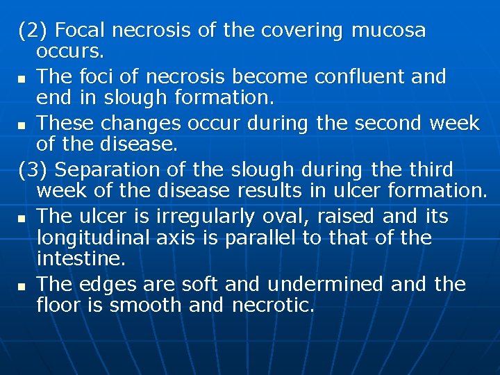 (2) Focal necrosis of the covering mucosa occurs. n The foci of necrosis become