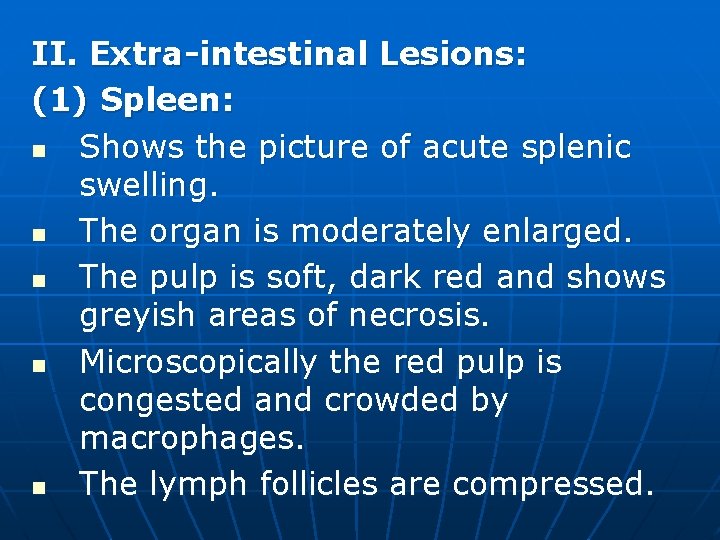 II. Extra-intestinal Lesions: (1) Spleen: n Shows the picture of acute splenic swelling. n