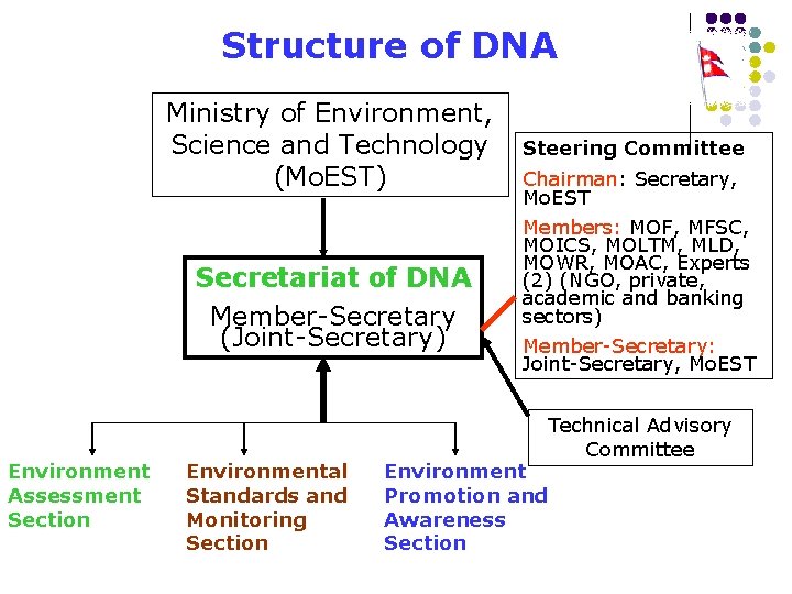 Structure of DNA Ministry of Environment, Science and Technology (Mo. EST) Secretariat of DNA