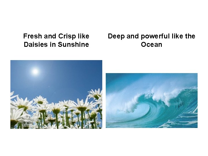 Fresh and Crisp like Daisies in Sunshine Deep and powerful like the Ocean 