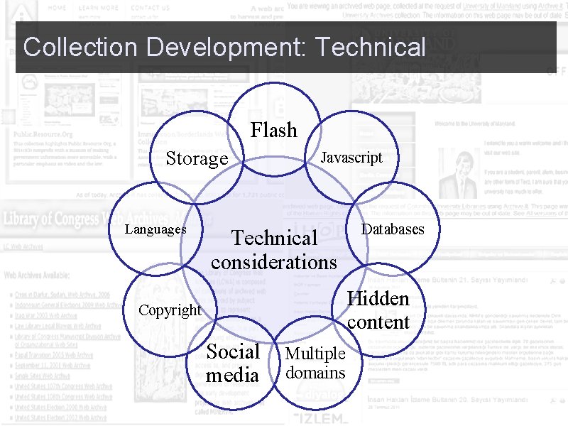  Collection Development: Technical Flash Storage Languages Copyright Javascript Databases Technical considerations Hidden content