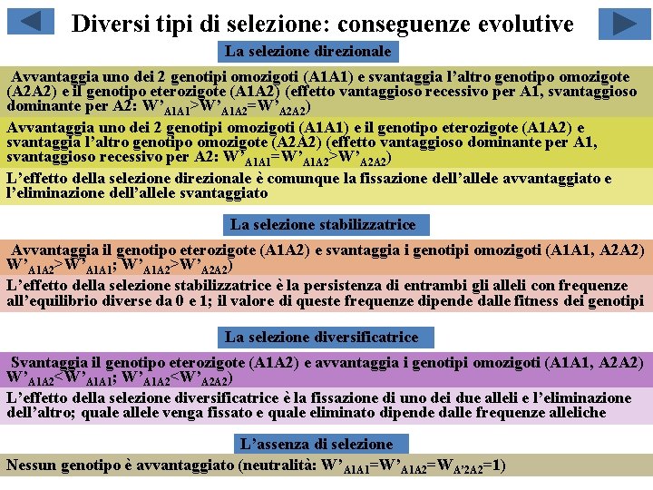 Diversi tipi di selezione: conseguenze evolutive La selezione direzionale Avvantaggia uno dei 2 genotipi