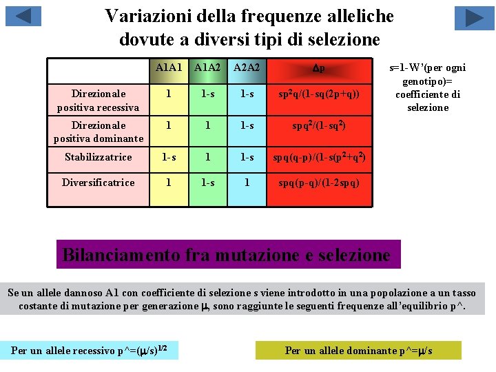 Variazioni della frequenze alleliche dovute a diversi tipi di selezione A 1 A 1