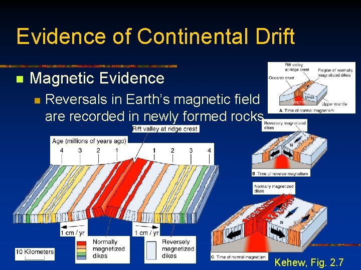 Evidence of Continental Drift n Magnetic Evidence n Reversals in Earth’s magnetic field are