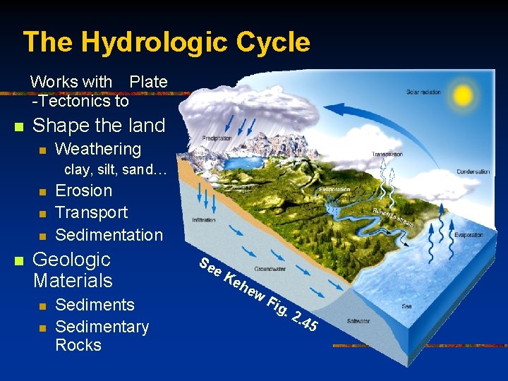 The Hydrologic Cycle Works with Plate -Tectonics to n Shape the land n Weathering