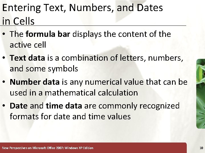 Entering Text, Numbers, and Dates in Cells XP • The formula bar displays the