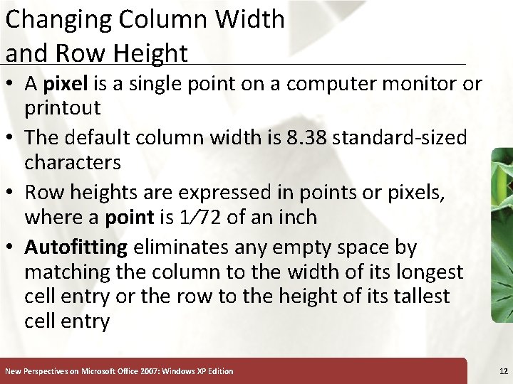 Changing Column Width and Row Height XP • A pixel is a single point