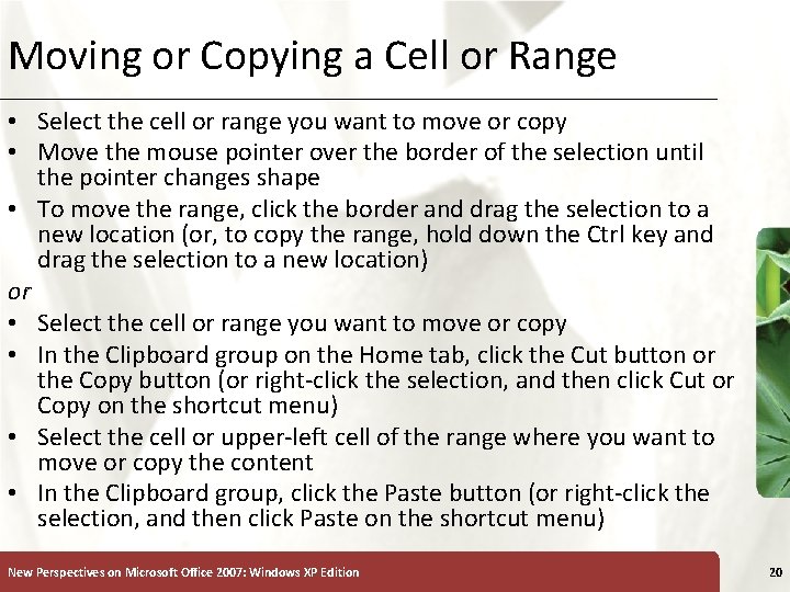 Moving or Copying a Cell or Range XP • Select the cell or range