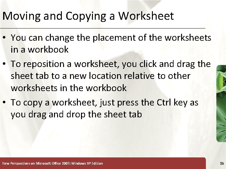 Moving and Copying a Worksheet XP • You can change the placement of the