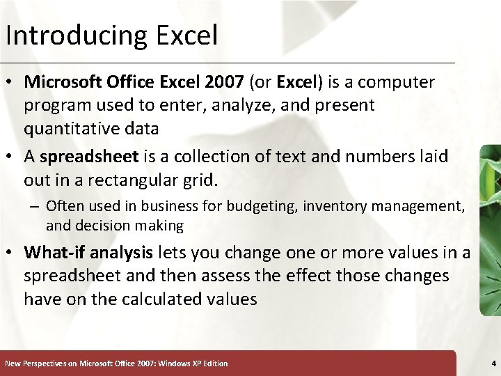 Introducing Excel XP • Microsoft Office Excel 2007 (or Excel) is a computer program