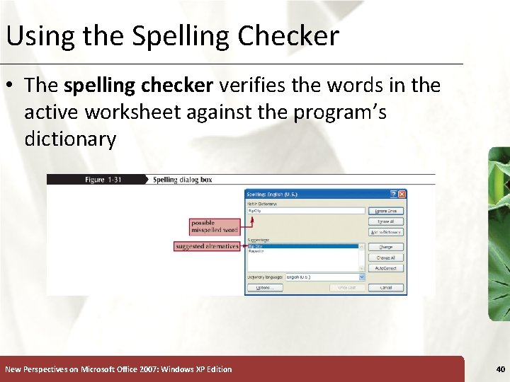 Using the Spelling Checker XP • The spelling checker verifies the words in the