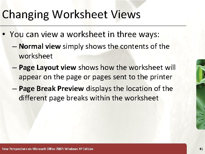 Changing Worksheet Views XP • You can view a worksheet in three ways: –