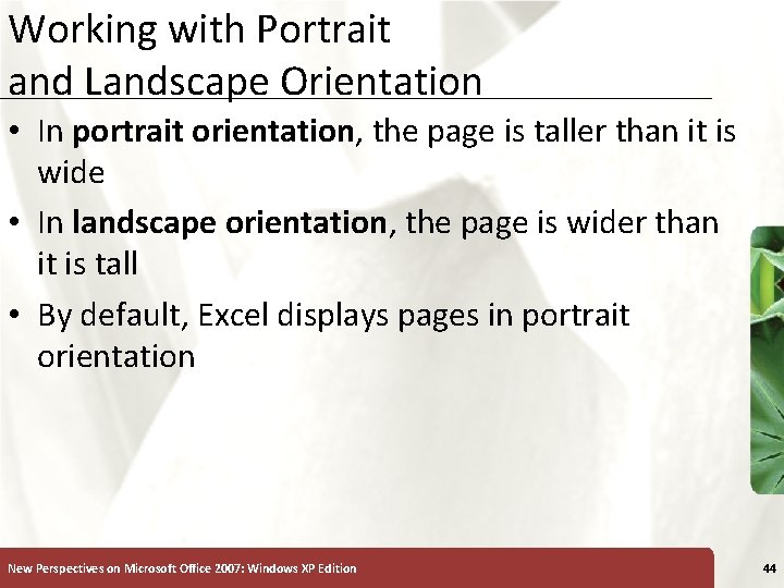 Working with Portrait and Landscape Orientation XP • In portrait orientation, the page is