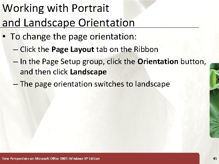 Working with Portrait and Landscape Orientation XP • To change the page orientation: –