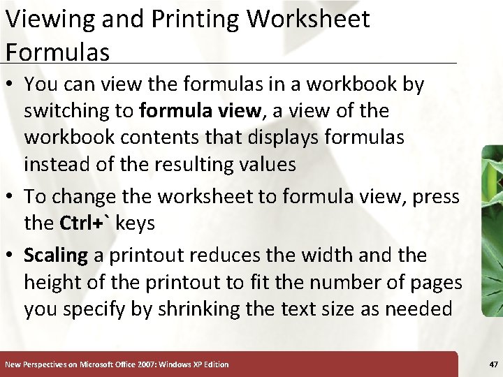 Viewing and Printing Worksheet Formulas XP • You can view the formulas in a