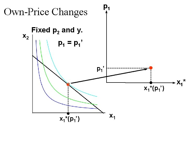 Own-Price Changes p 1 Fixed p 2 and y. p 1 = p 1’ Own-Price Changes p 1 Fixed p 2 and y. p 1 = p 1’
