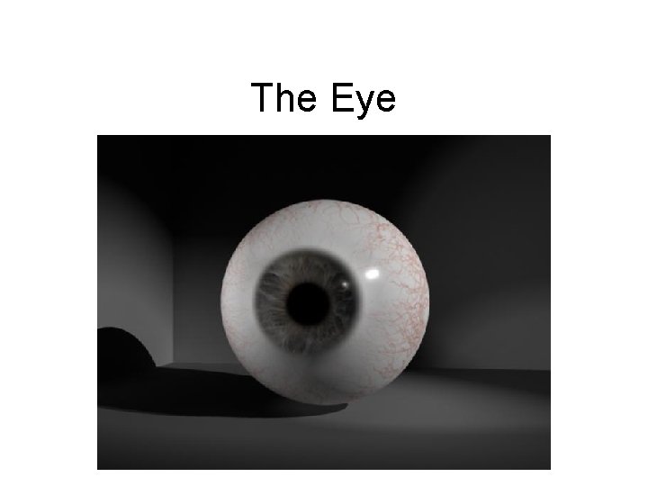 The Eye 