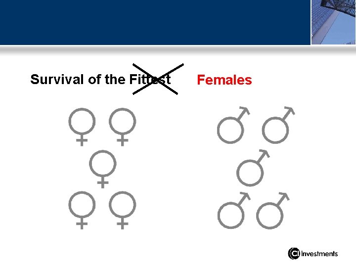 Survival of the Fittest Females 