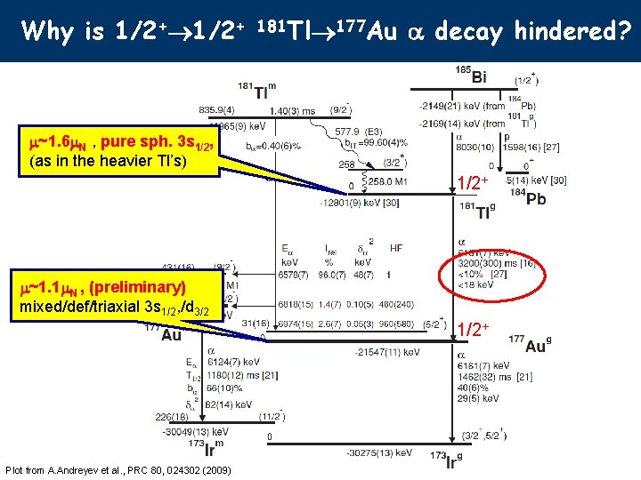 Why is 1/2+ 181 Tl 177 Au a decay hindered? m~1. 6 m. N