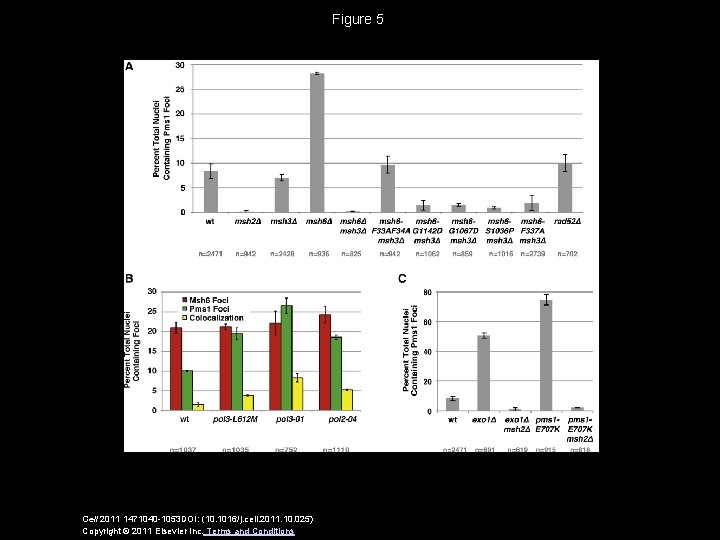 Figure 5 Cell 2011 1471040 -1053 DOI: (10. 1016/j. cell. 2011. 10. 025) Copyright