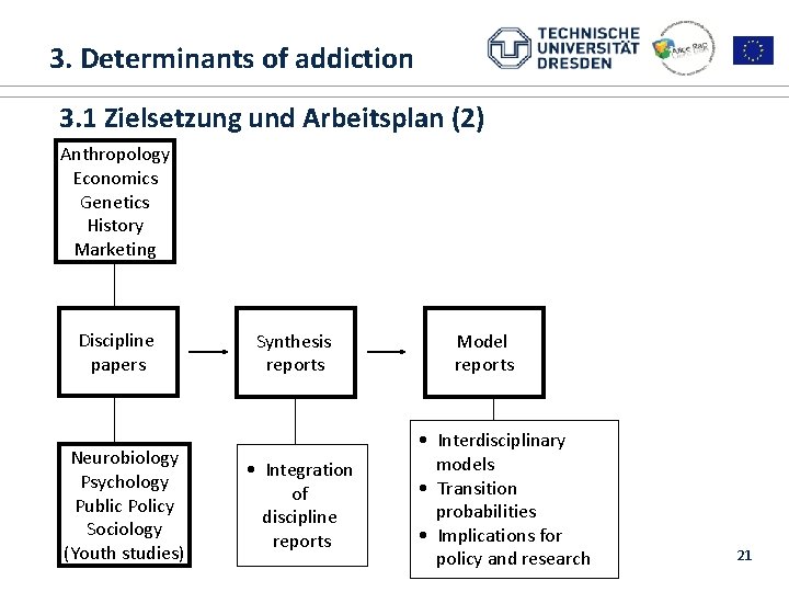  3. Determinants of addiction 1. ALICE RAP 3. 1 Zielsetzung und Arbeitsplan (2)