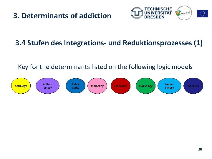  3. Determinants of addiction 1. ALICE RAP 3. 4 Stufen des Integrations- und
