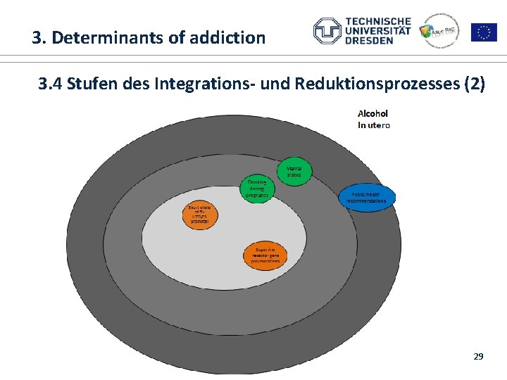  3. Determinants of addiction 1. ALICE RAP 3. 4 Stufen des Integrations- und