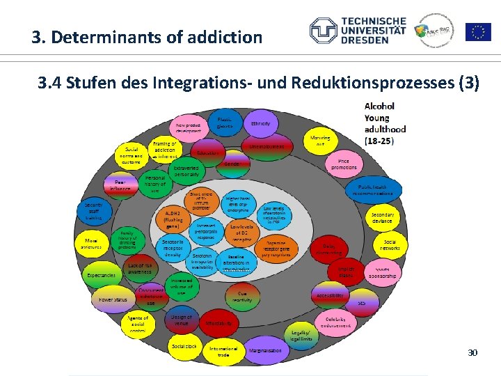  3. Determinants of addiction 1. ALICE RAP 3. 4 Stufen des Integrations- und