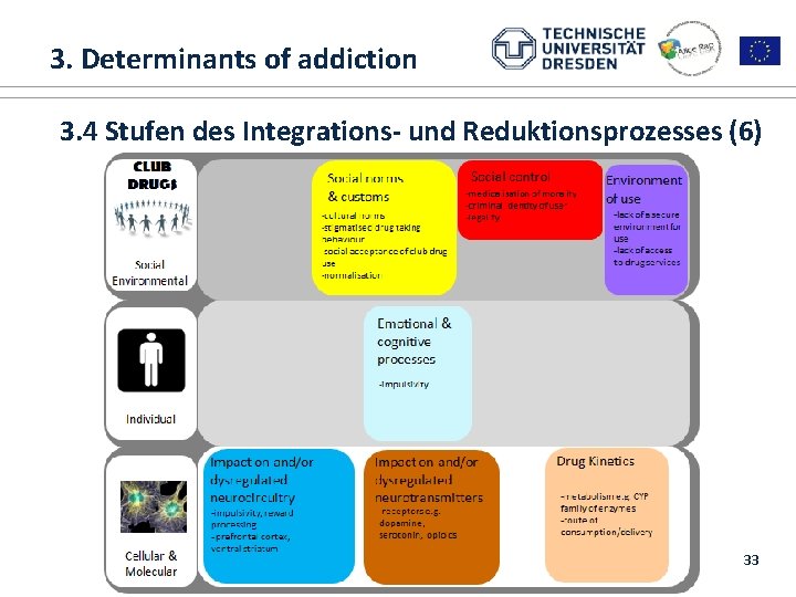  3. Determinants of addiction 1. ALICE RAP 3. 4 Stufen des Integrations- und