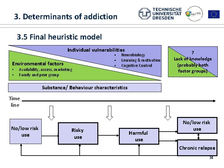  3. Determinants of addiction 1. ALICE RAP 3. 5 Final heuristic model Individual