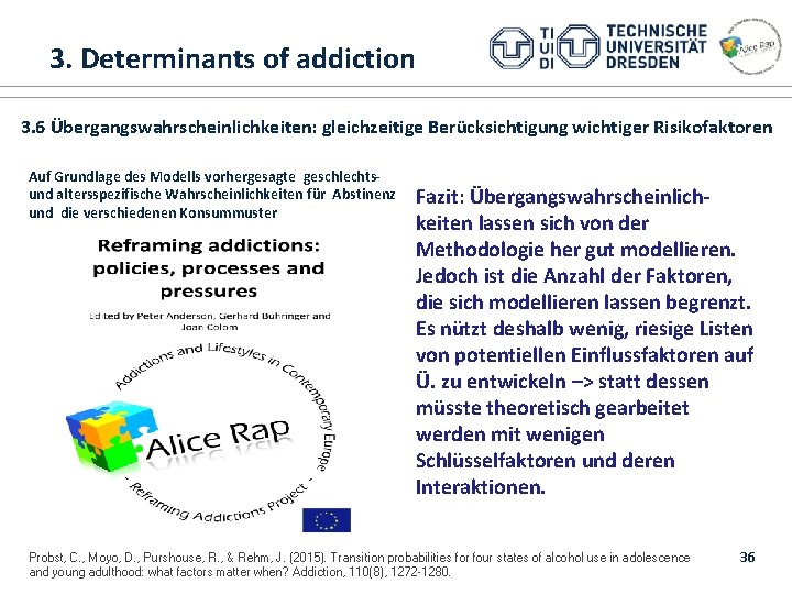  3. Determinants of addiction 1. ALICE RAP 3. 6 Übergangswahrscheinlichkeiten: gleichzeitige Berücksichtigung wichtiger