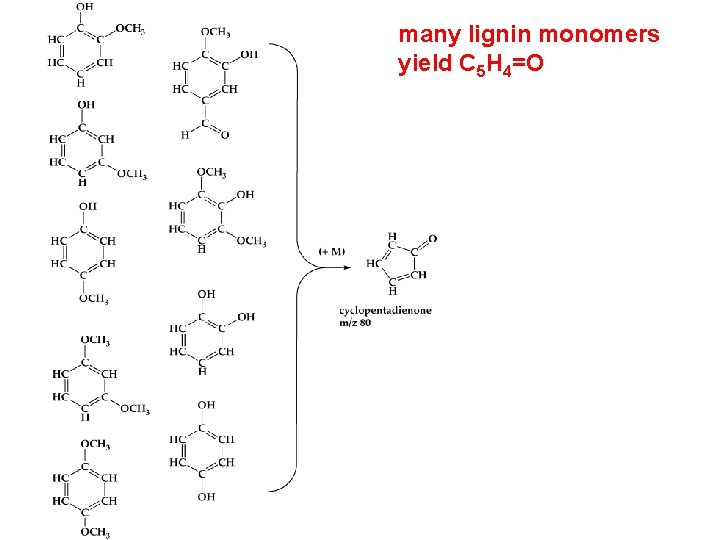 many lignin monomers yield C 5 H 4=O 