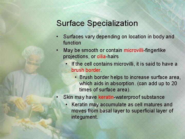 Surface Specialization • Surfaces vary depending on location in body and function • May Surface Specialization • Surfaces vary depending on location in body and function • May