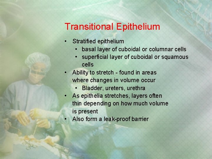 Transitional Epithelium • Stratified epithelium • basal layer of cuboidal or columnar cells • Transitional Epithelium • Stratified epithelium • basal layer of cuboidal or columnar cells •