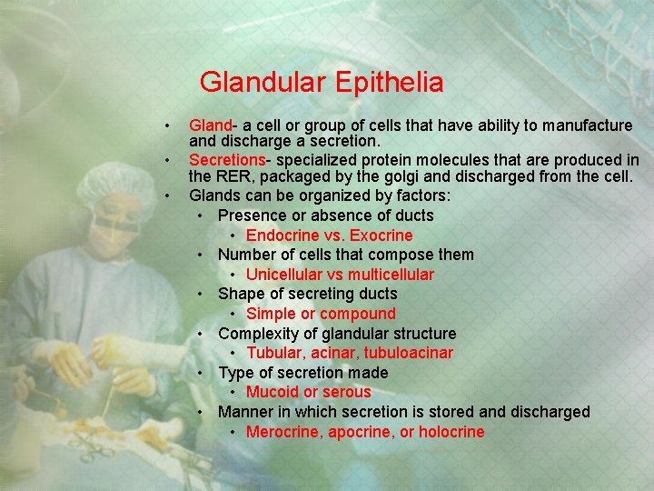 Glandular Epithelia • • • Gland- a cell or group of cells that have Glandular Epithelia • • • Gland- a cell or group of cells that have