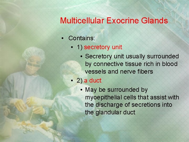 Multicellular Exocrine Glands • Contains: • 1) secretory unit • Secretory unit usually surrounded Multicellular Exocrine Glands • Contains: • 1) secretory unit • Secretory unit usually surrounded