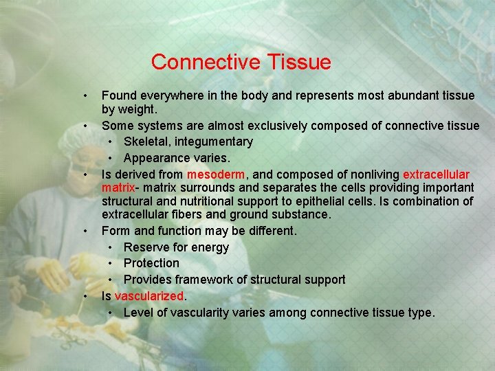 Connective Tissue • • • Found everywhere in the body and represents most abundant Connective Tissue • • • Found everywhere in the body and represents most abundant
