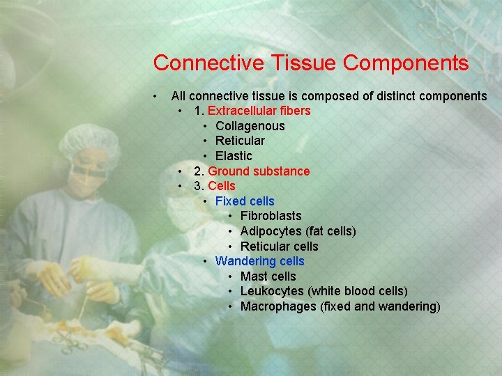 Connective Tissue Components • All connective tissue is composed of distinct components • 1. Connective Tissue Components • All connective tissue is composed of distinct components • 1.