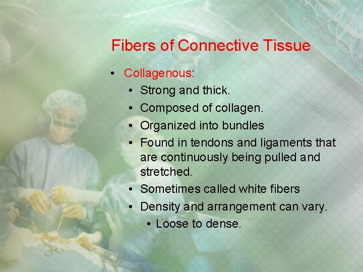 Fibers of Connective Tissue • Collagenous: • Strong and thick. • Composed of collagen. Fibers of Connective Tissue • Collagenous: • Strong and thick. • Composed of collagen.