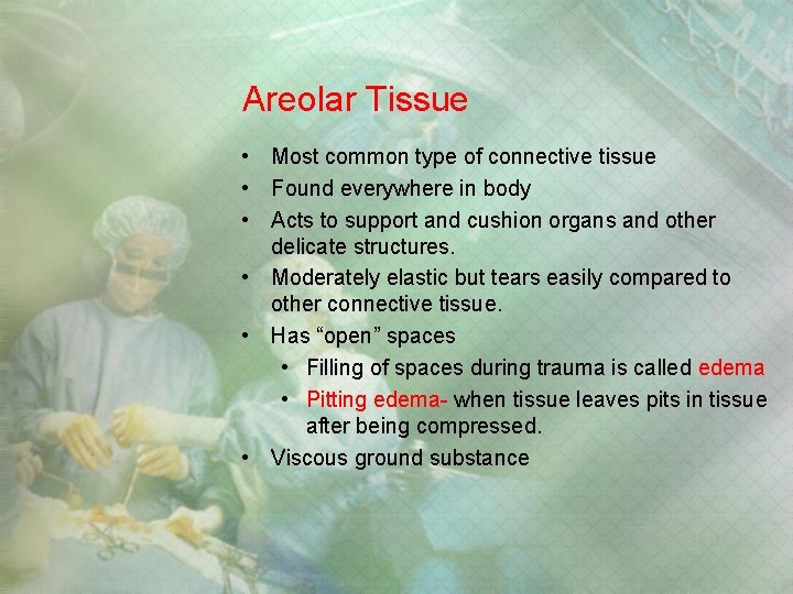 Areolar Tissue • Most common type of connective tissue • Found everywhere in body Areolar Tissue • Most common type of connective tissue • Found everywhere in body