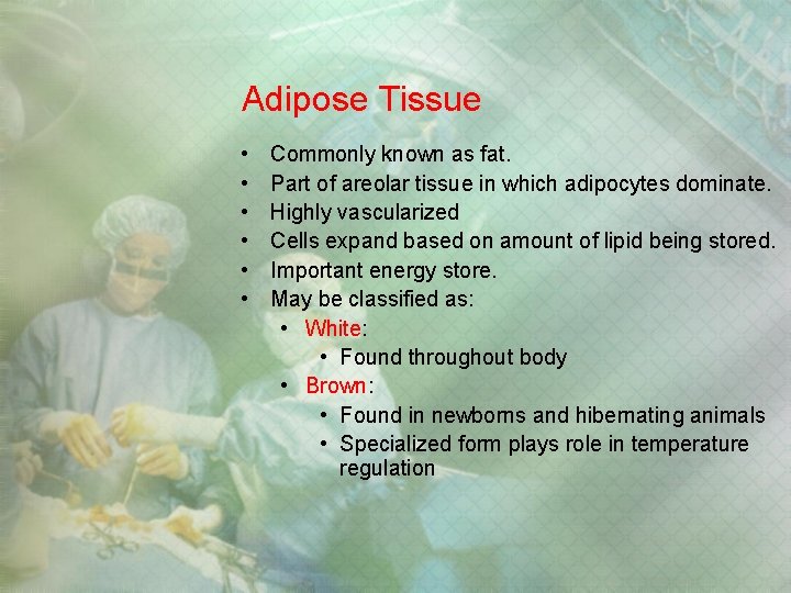 Adipose Tissue • • • Commonly known as fat. Part of areolar tissue in Adipose Tissue • • • Commonly known as fat. Part of areolar tissue in