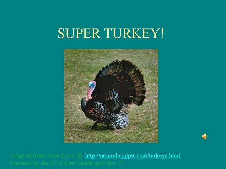 SUPER TURKEY! Adapted from Anne Lyon @ http: //animals. pppst. com/turkeys. html Narrated by