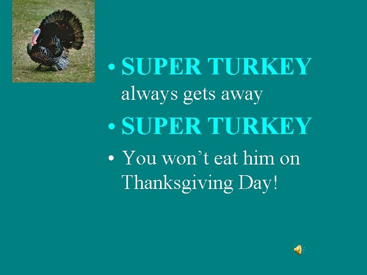  • SUPER TURKEY always gets away • SUPER TURKEY • You won’t eat