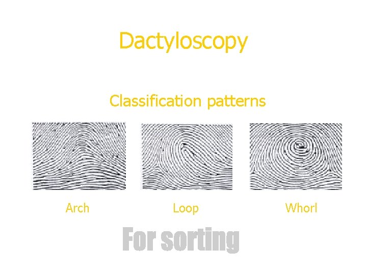 Dactyloscopy Classification patterns Arch Loop Whorl 