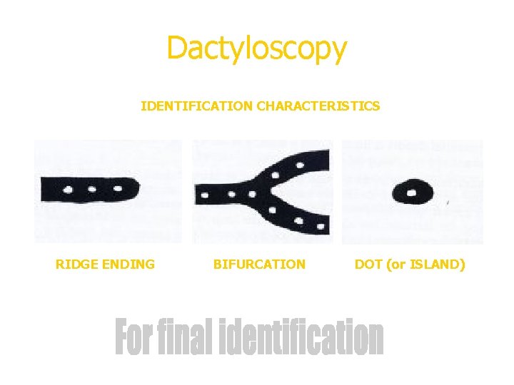 Dactyloscopy IDENTIFICATION CHARACTERISTICS RIDGE ENDING BIFURCATION DOT (or ISLAND) 