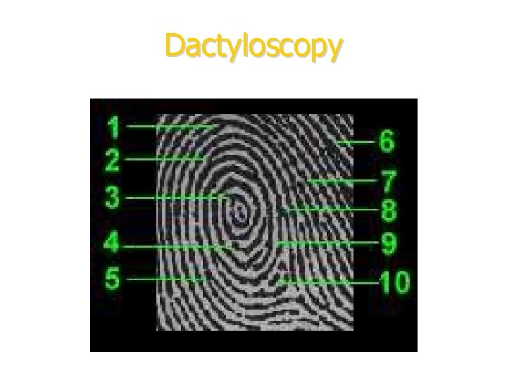 Dactyloscopy 