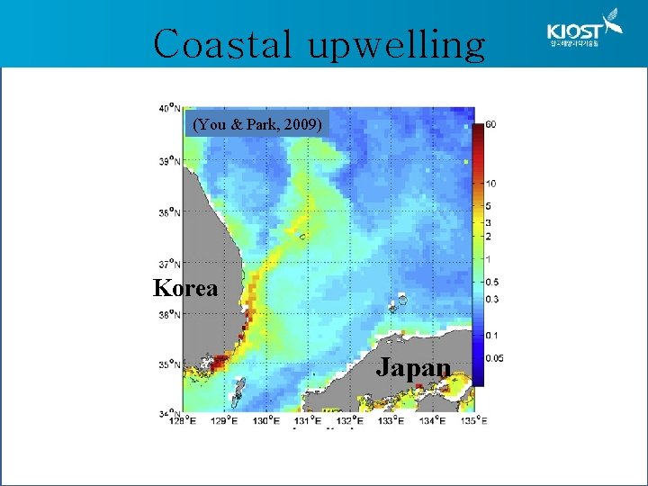 Coastal upwelling (You & Park, 2009) Korea Japan 