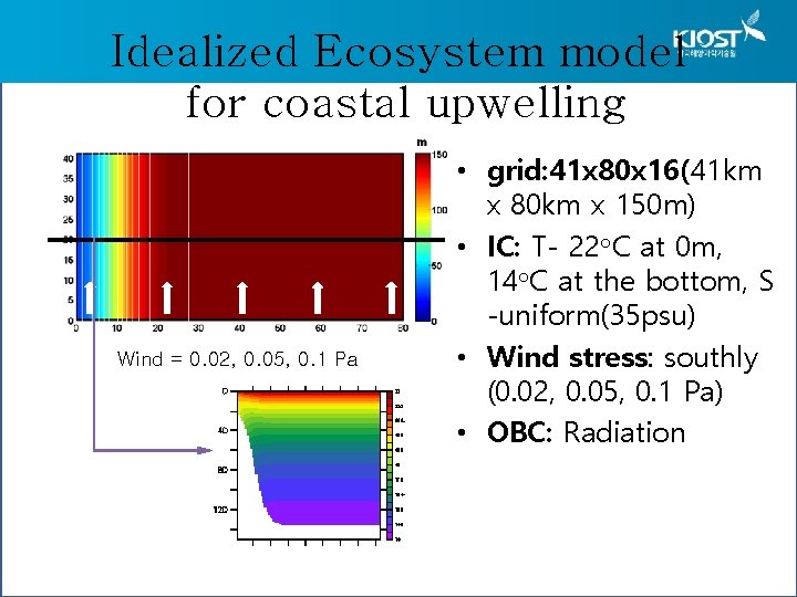 Idealized Ecosystem model for coastal upwelling Wind = 0. 02, 0. 05, 0. 1