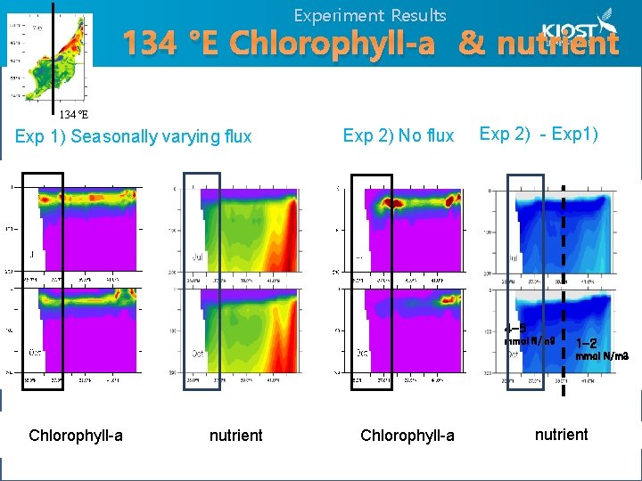 Experiment Results 134 °E Chlorophyll-a & nutrient 134 °E Exp 1) Seasonally varying flux