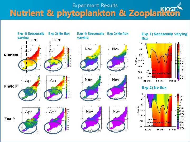 Experiment Results Nutrient & phytoplankton & Zooplankton Exp 1) Seasonally varying 130°E Exp 2)